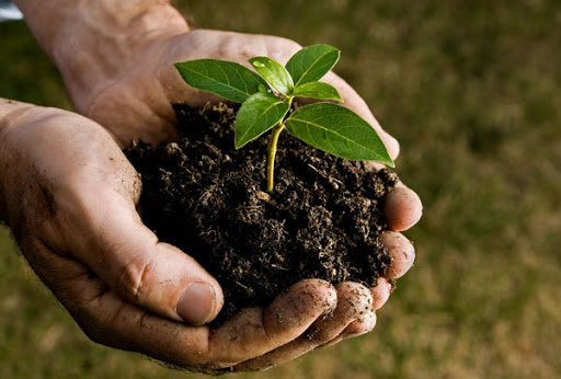 Sustentabilidade - Energia do futuro